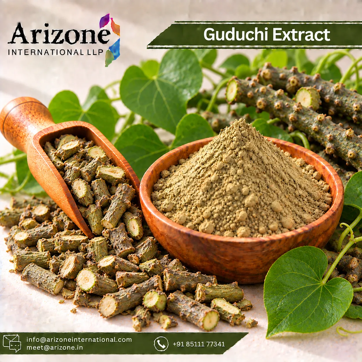 Guduchi Extract
