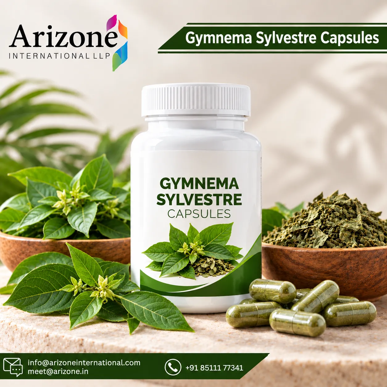 Gymnema Sylvestre Capsules photo