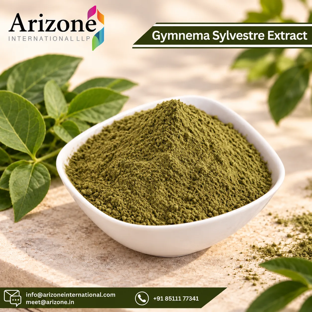 Gymnema Sylvestre Extract