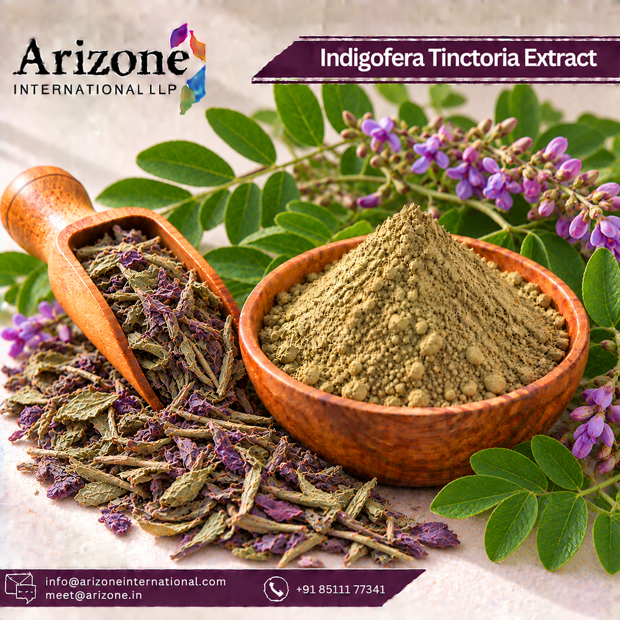 Indigofera Tinctoria Extract