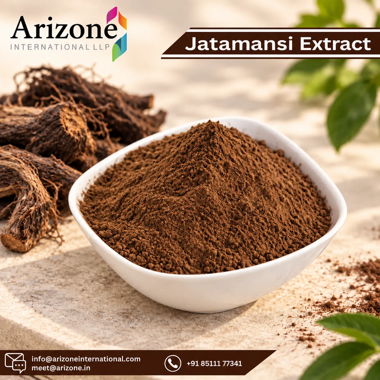 Jatamansi Extract