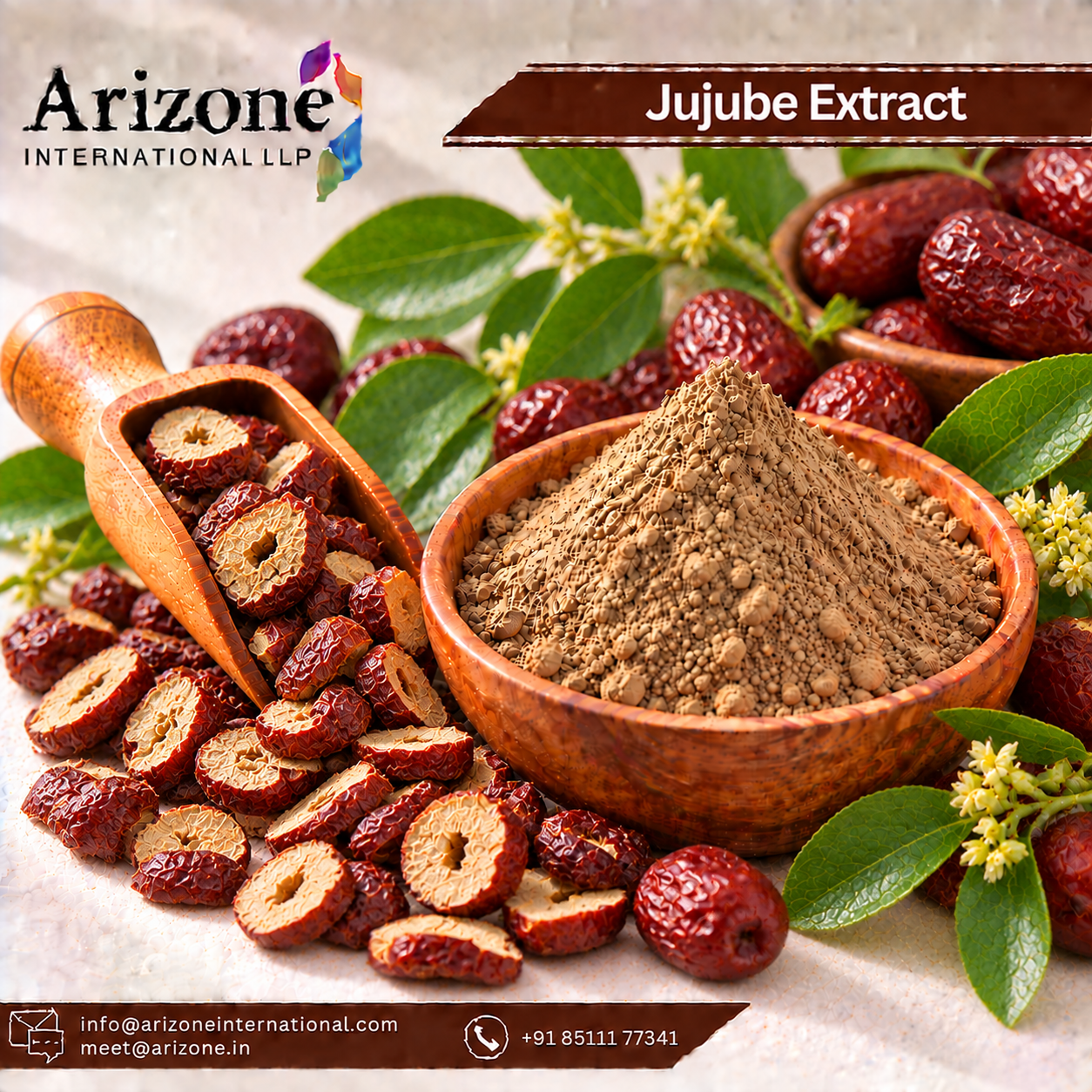 Jujube Extract