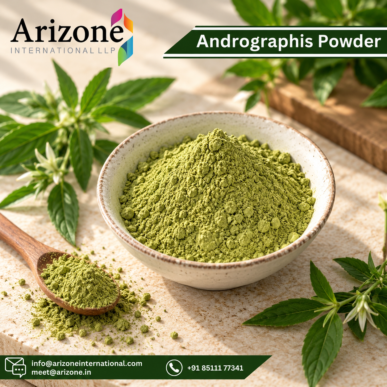 Kalmegh Powder