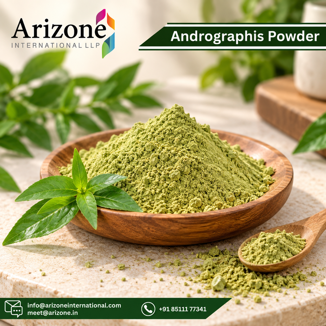 Kalmegh Powder photo 3