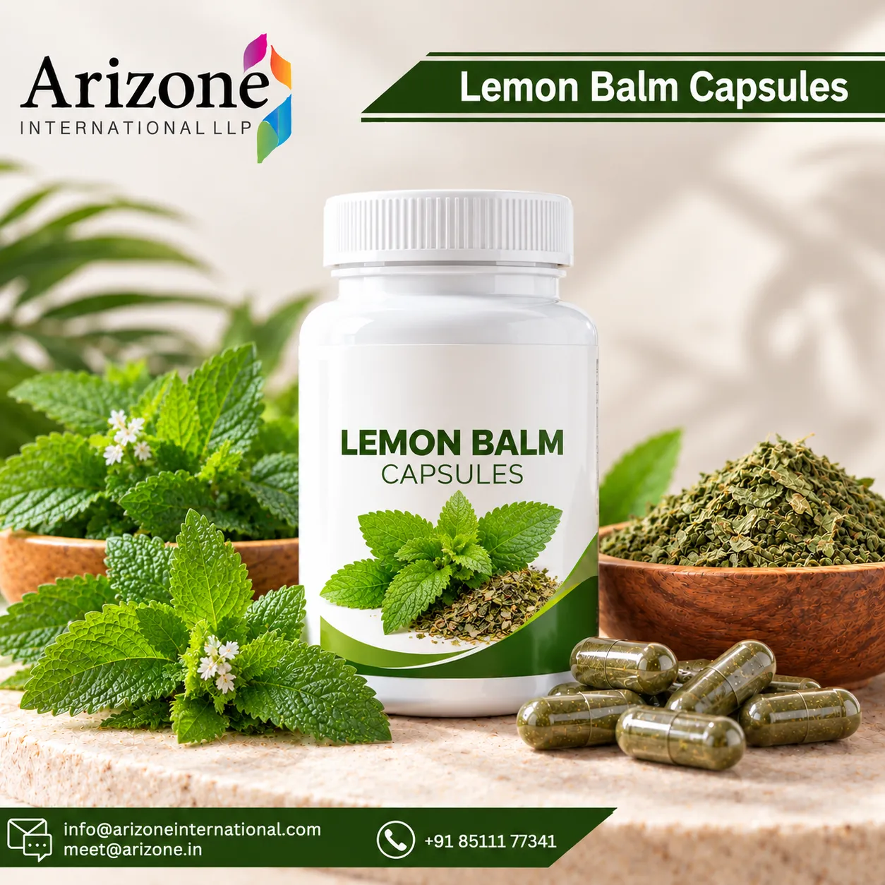 Lemon Balm Capsules photo