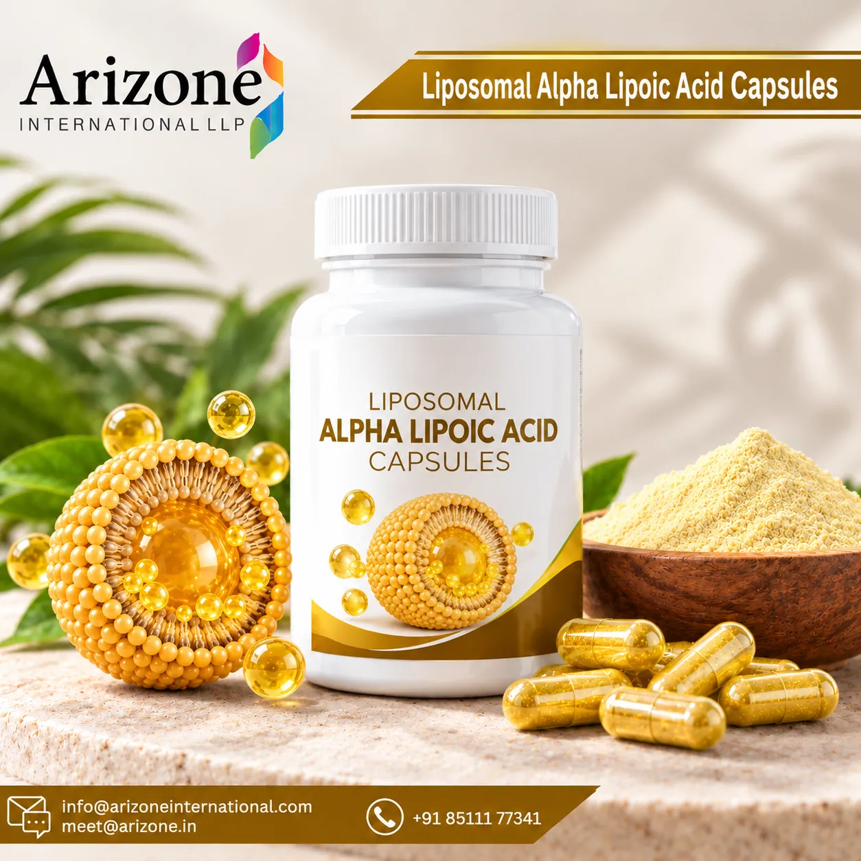 Liposomal Alpha Lipoic Acid Capsules