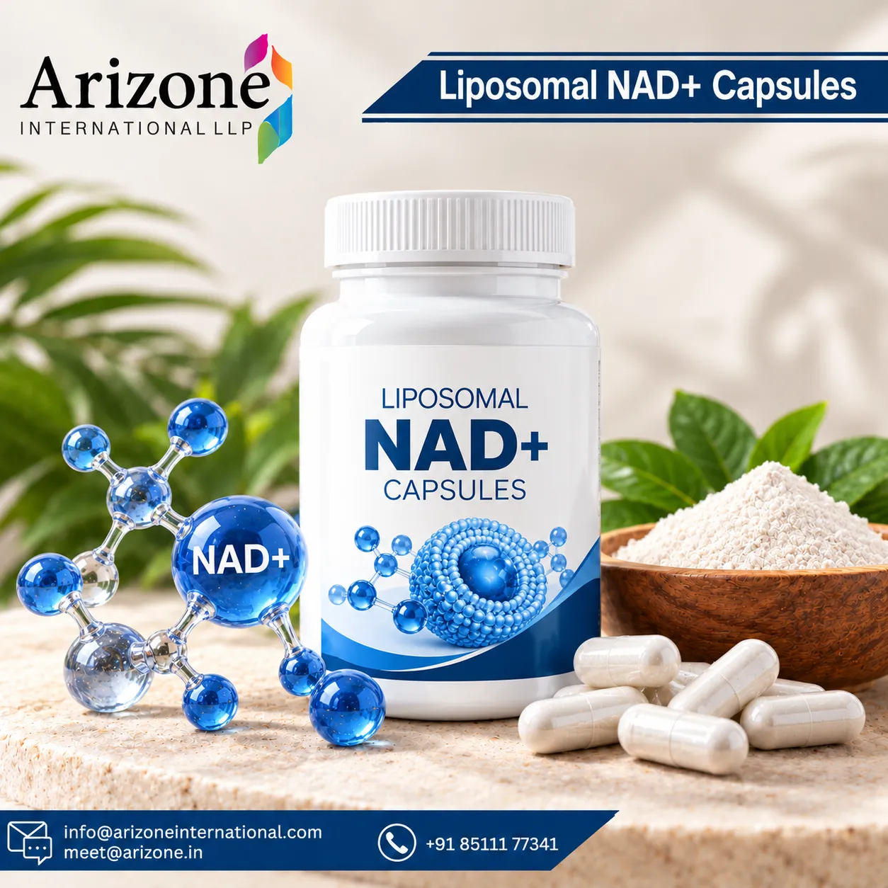 Liposomal NAD+ Capsules