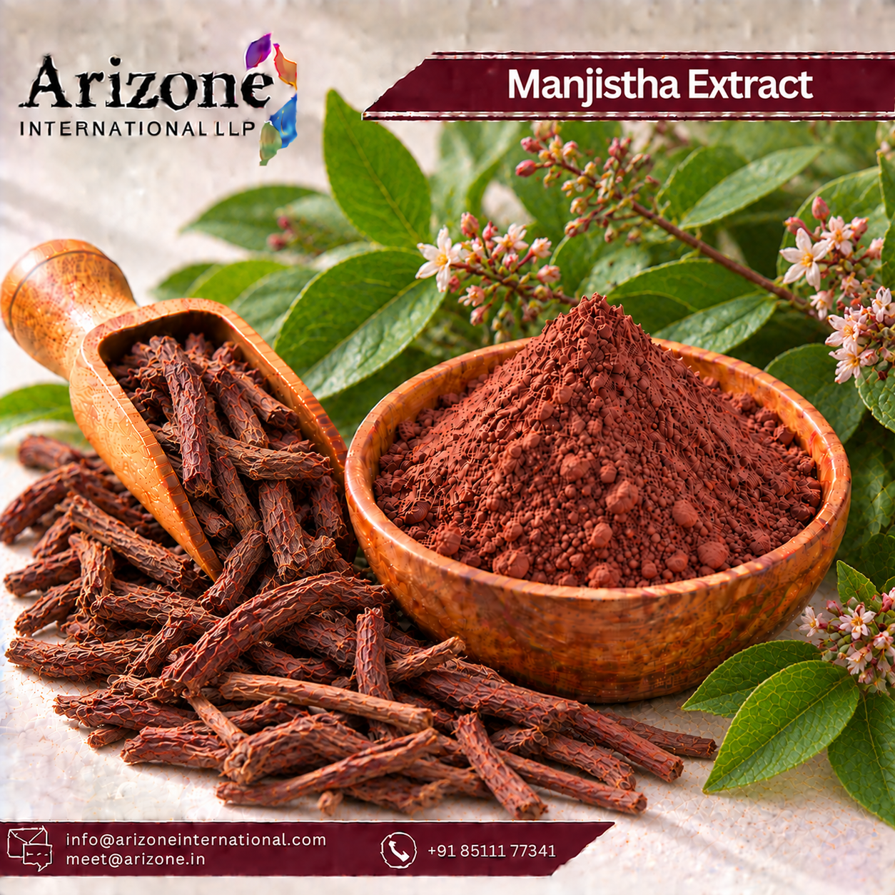 Manjistha Extract