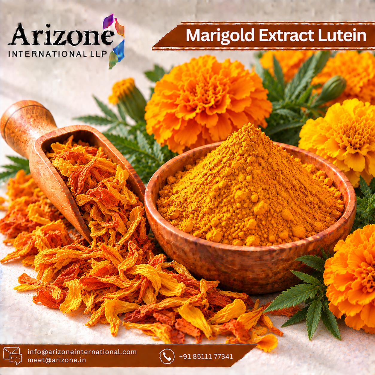Marigold Extract Lutein