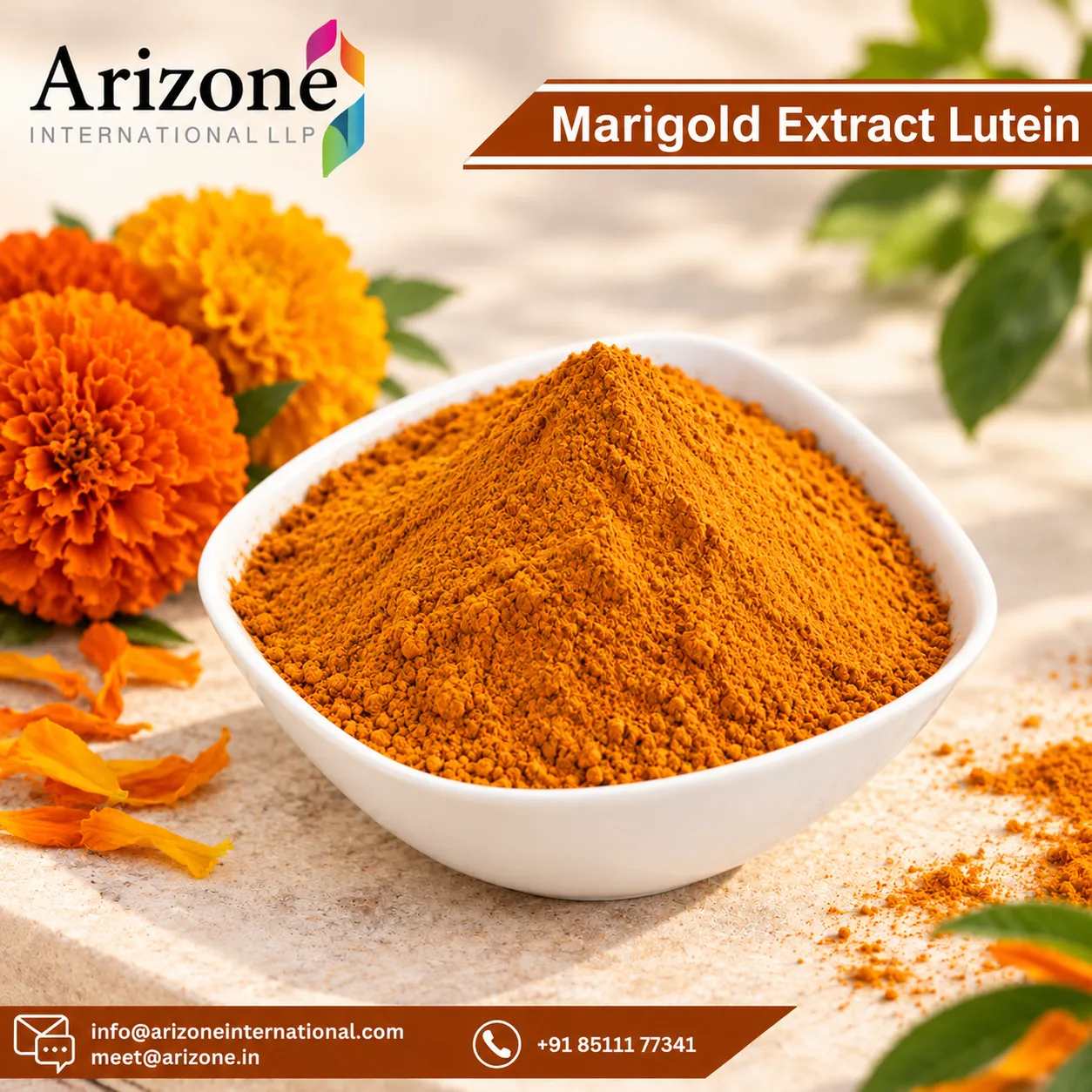 Marigold Extract Lutein