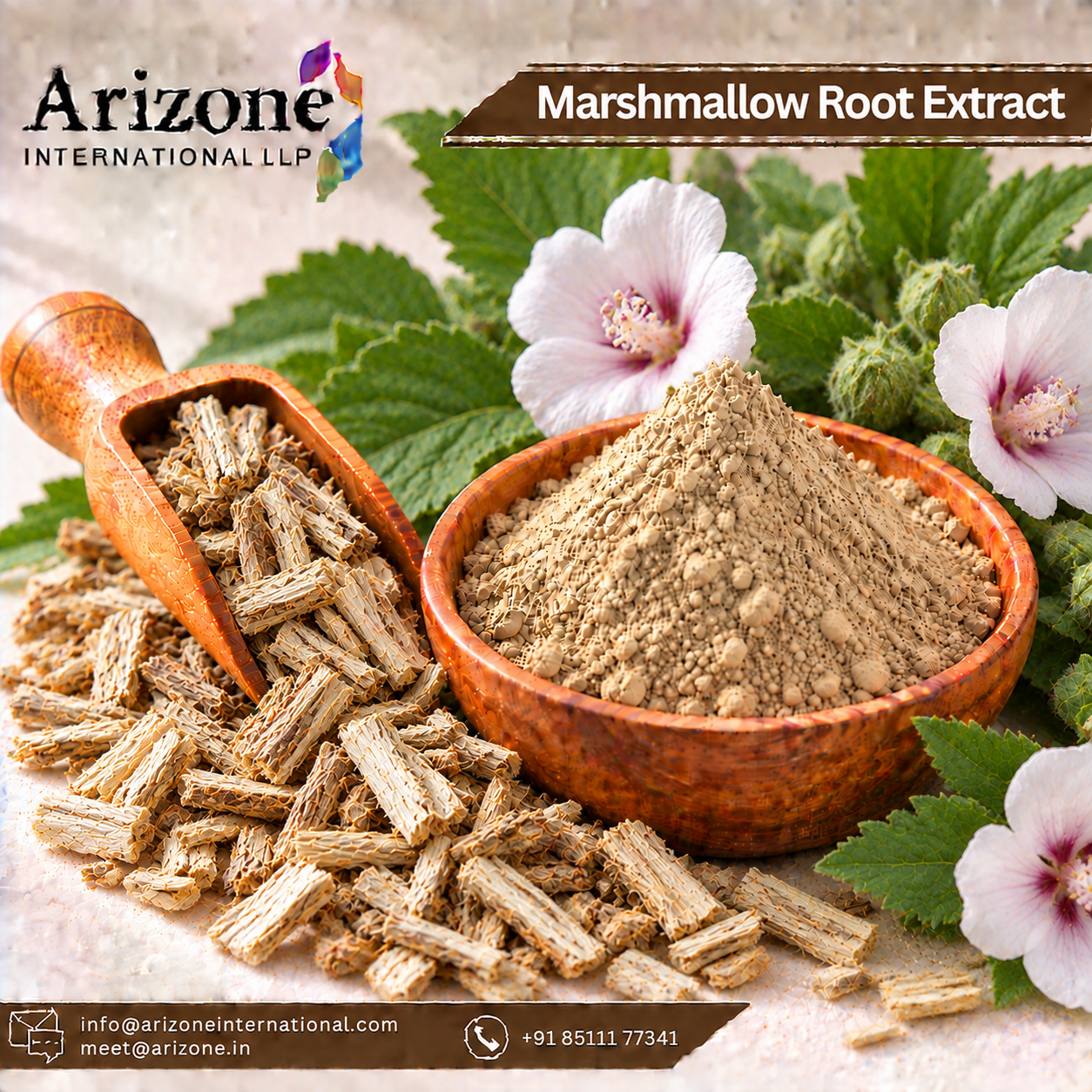 Marshmallow Root Extract
