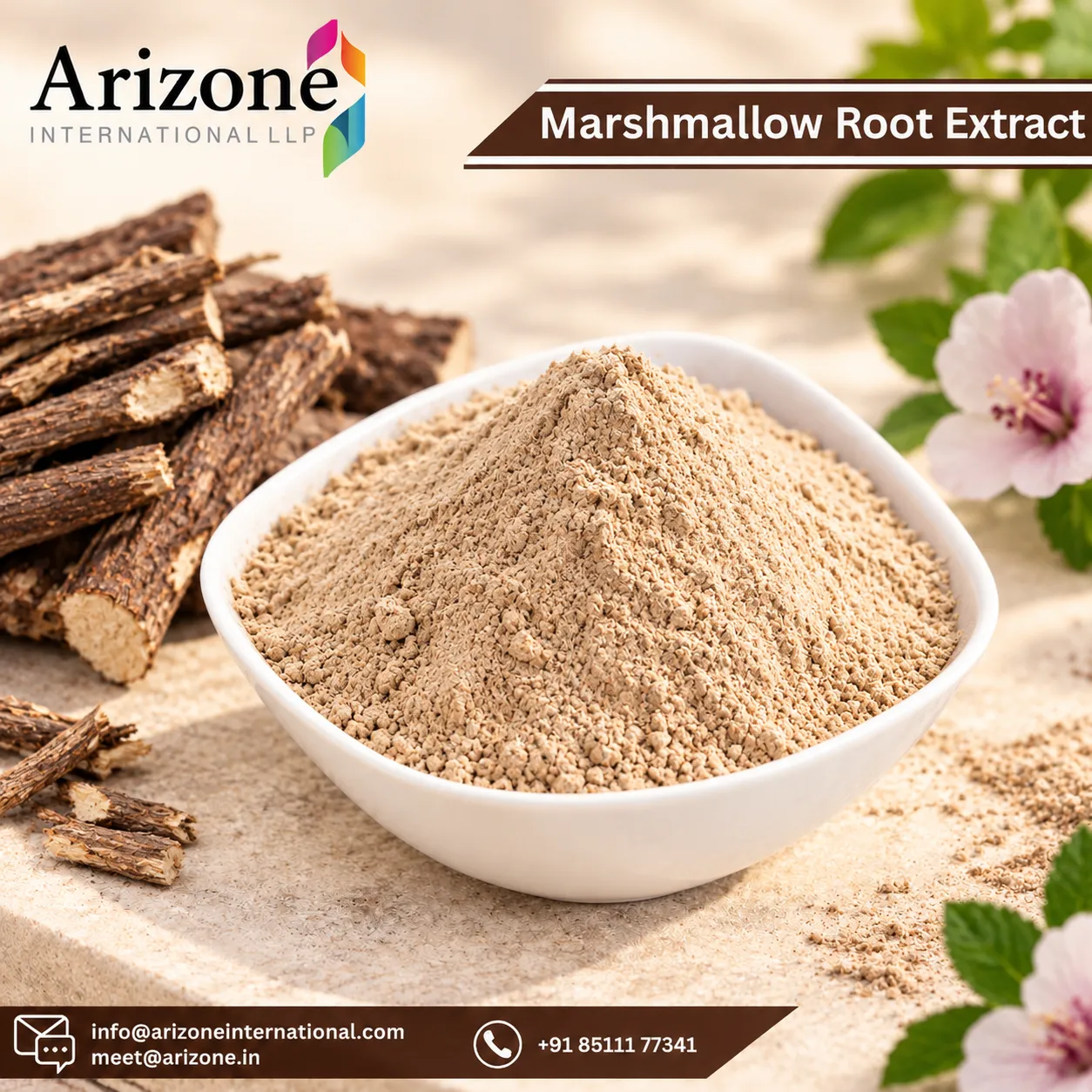 Marshmallow Root Extract