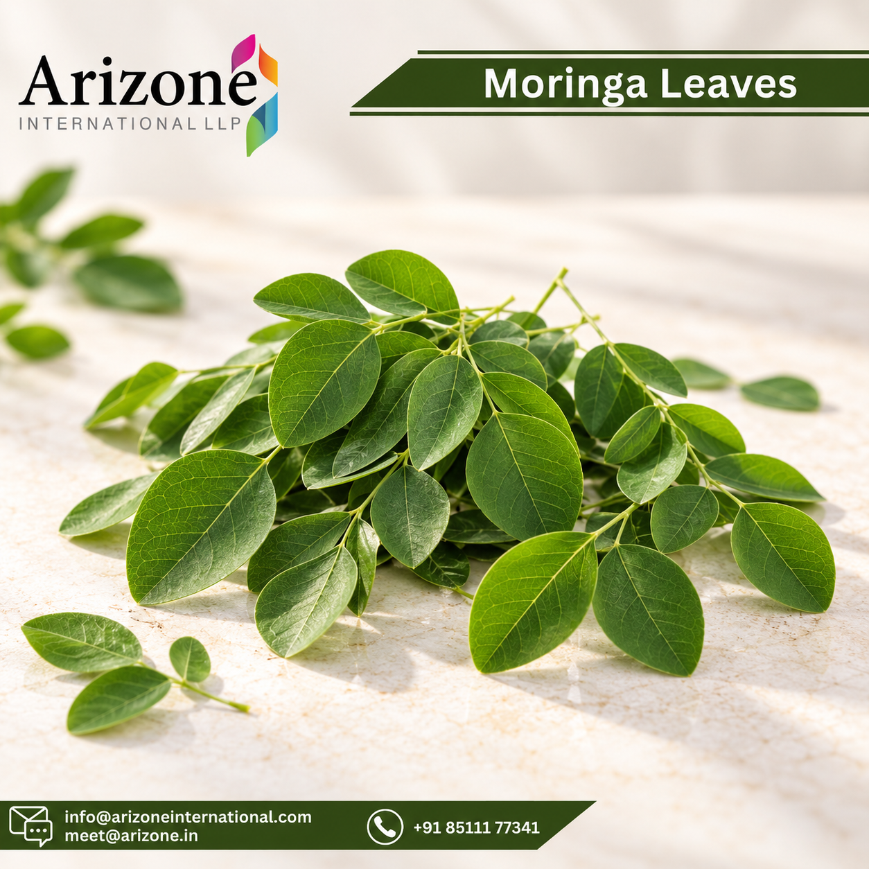 Moringa Leaf Extract photo 3