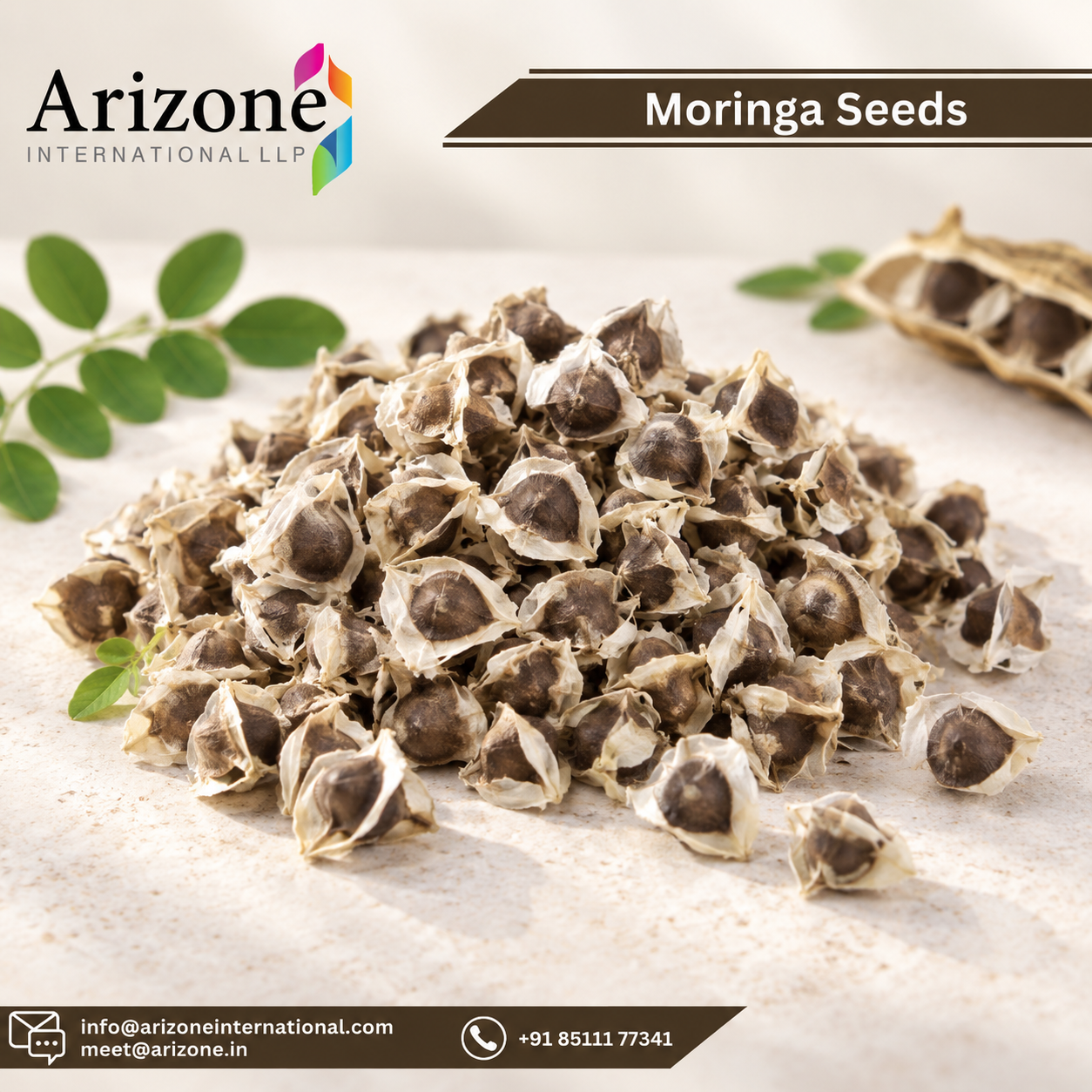 Moringa Seeds Powder