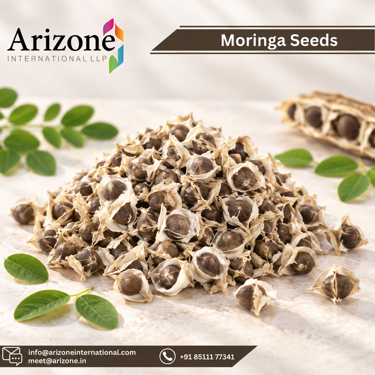 Moringa Seeds Powder photo 2