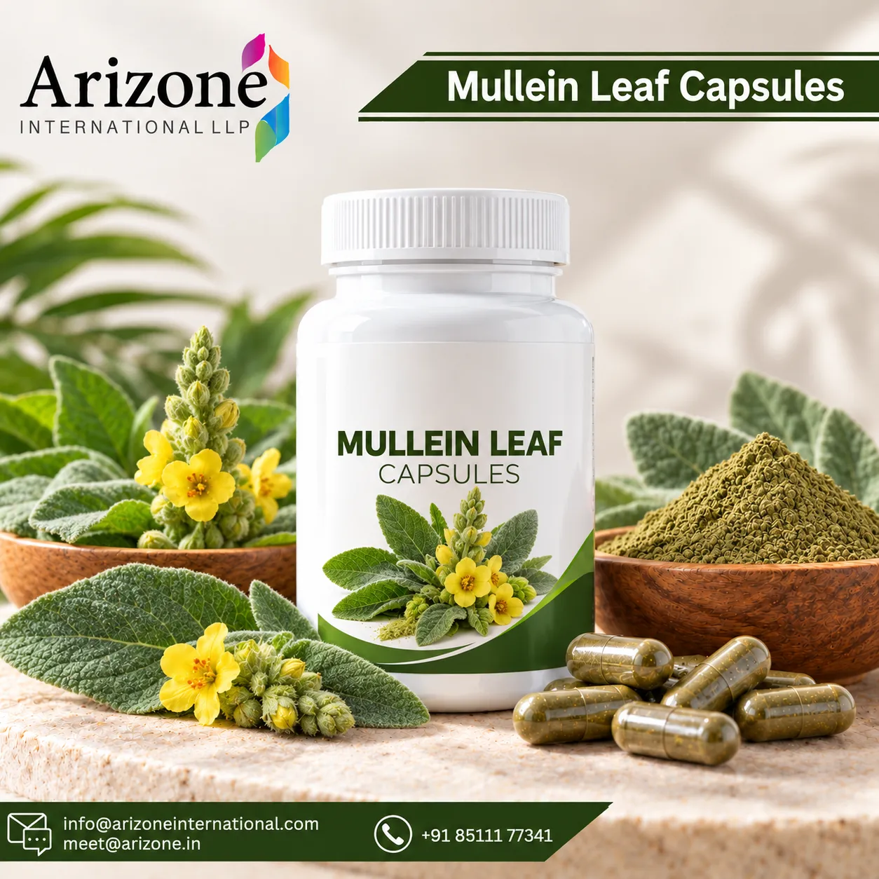Mullein Leaf Capsules