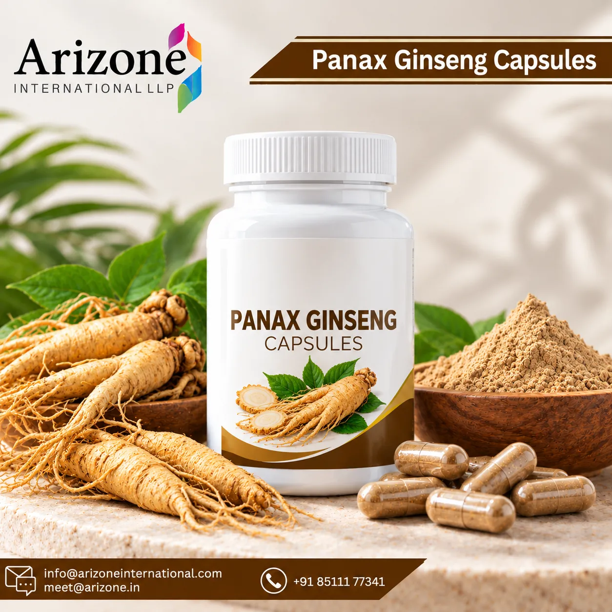 Panax Ginseng Capsules