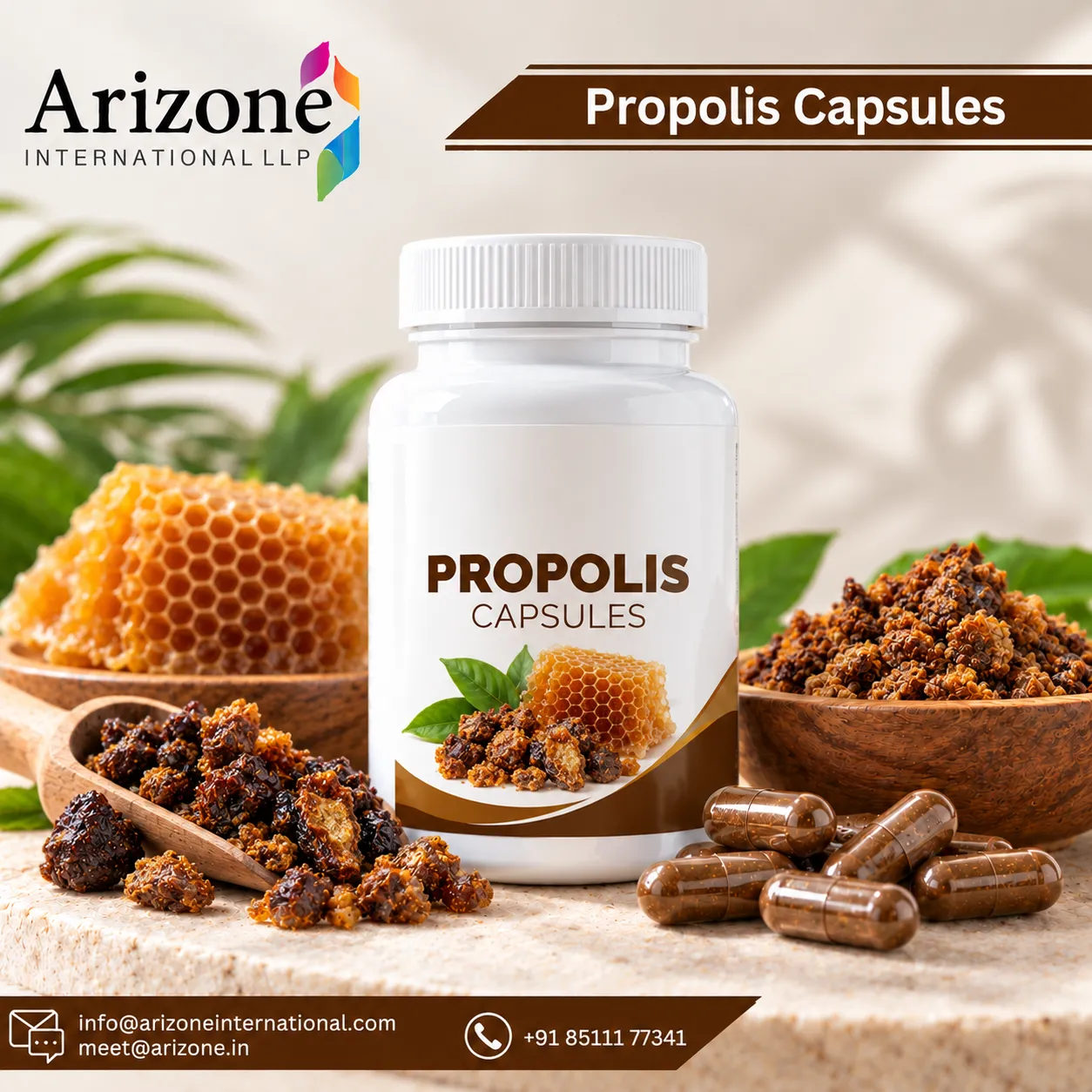 Propolis Capsules photo