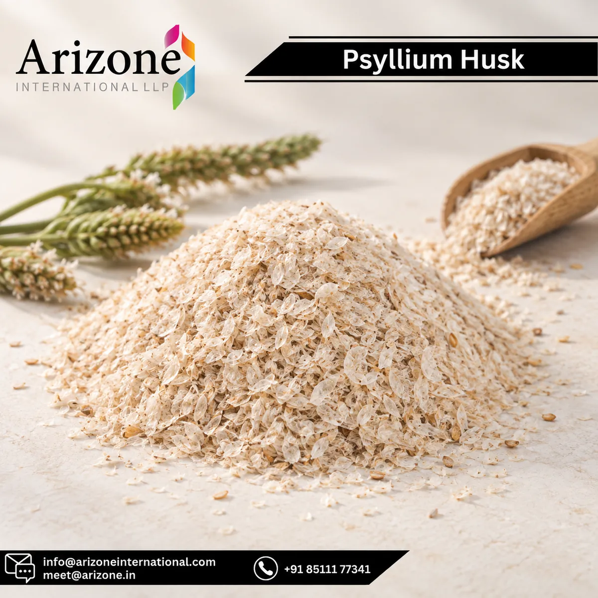 Psyllium Husk photo 3