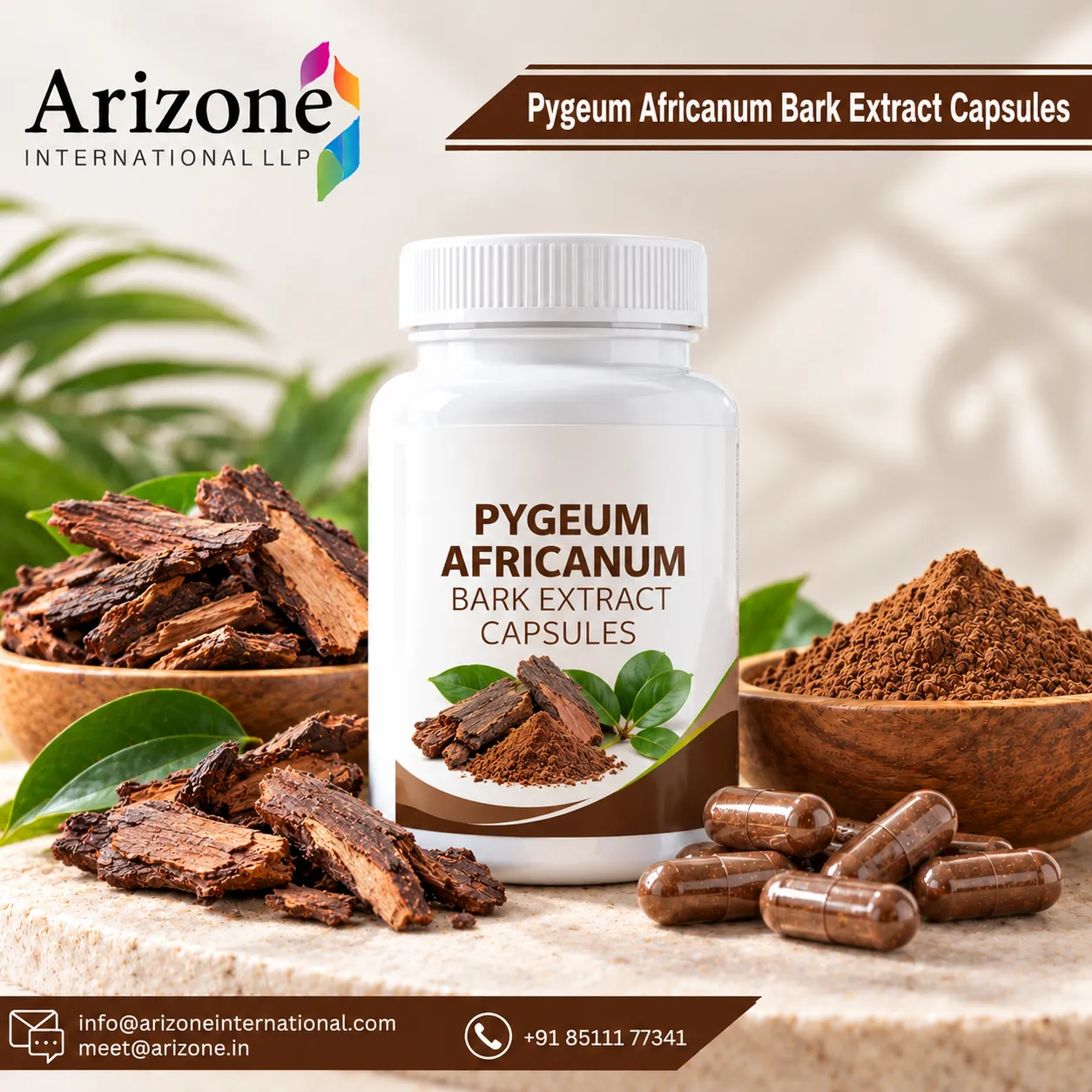 Pygeum Africanum Bark Extract Capsules