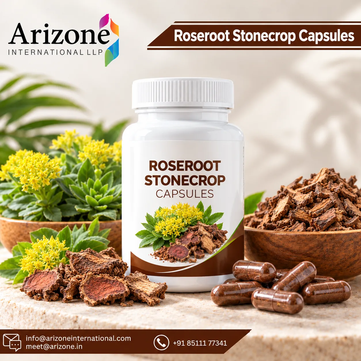 Roseroot Stonecrop Capsules