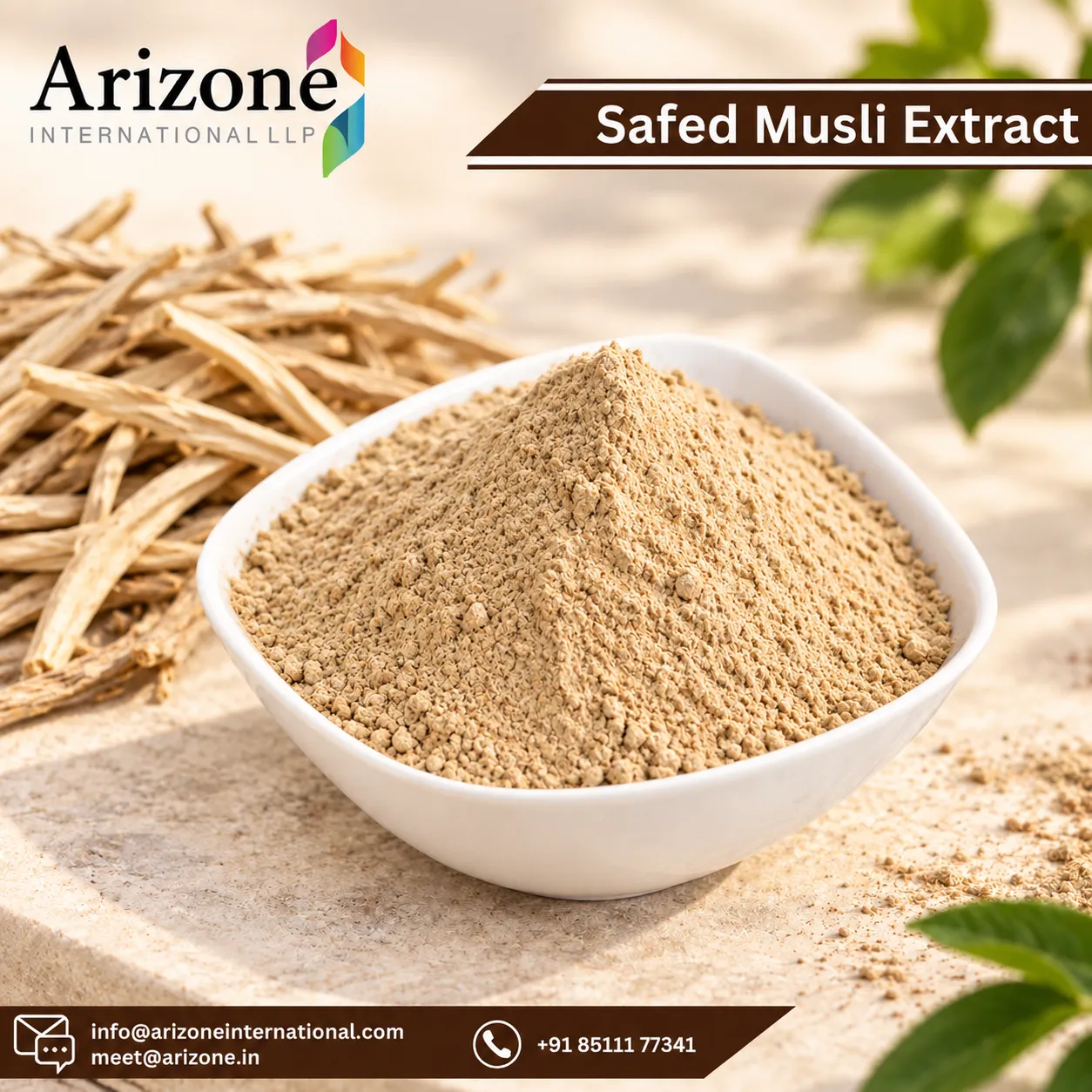 Safed Musli Extract photo