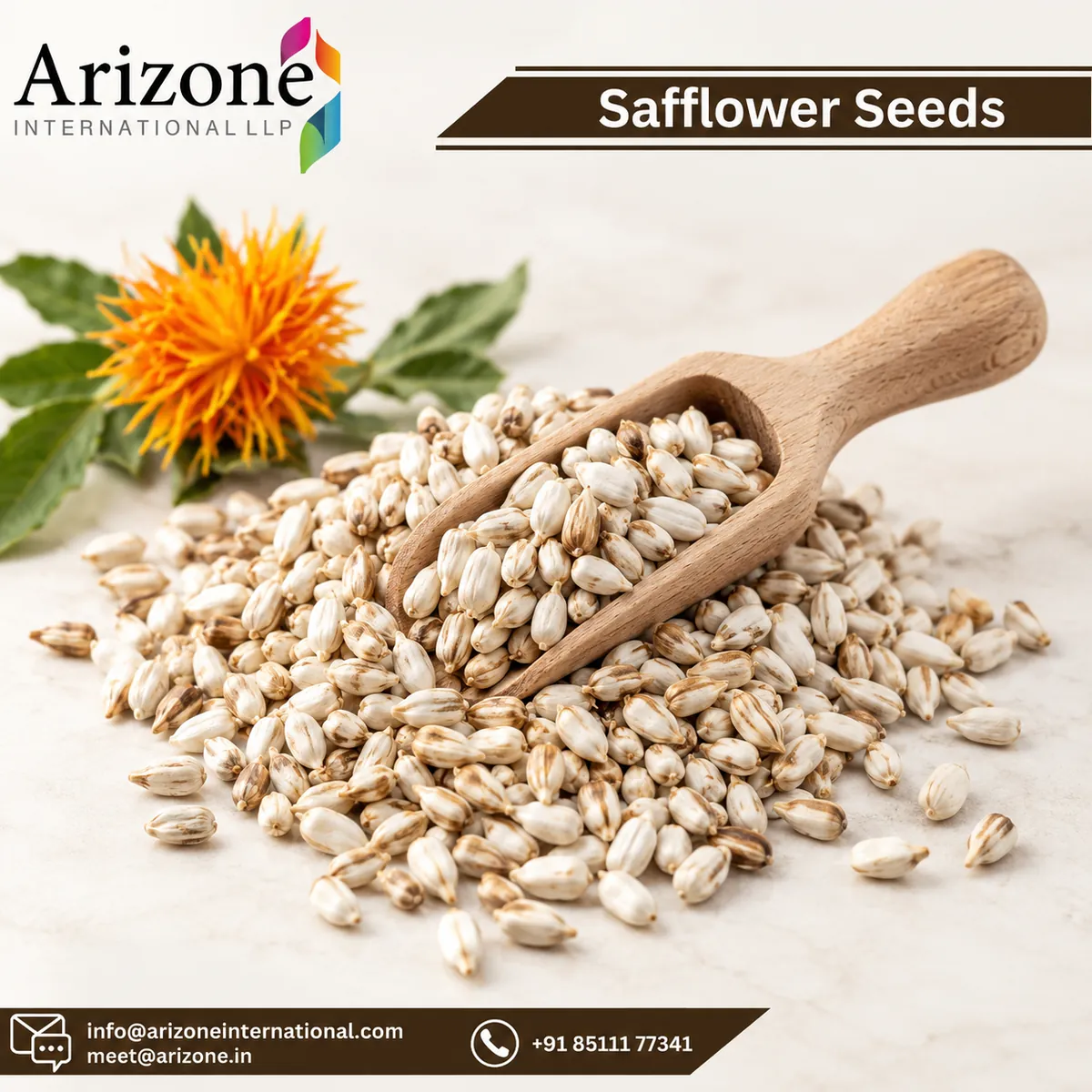 Safflower Oil