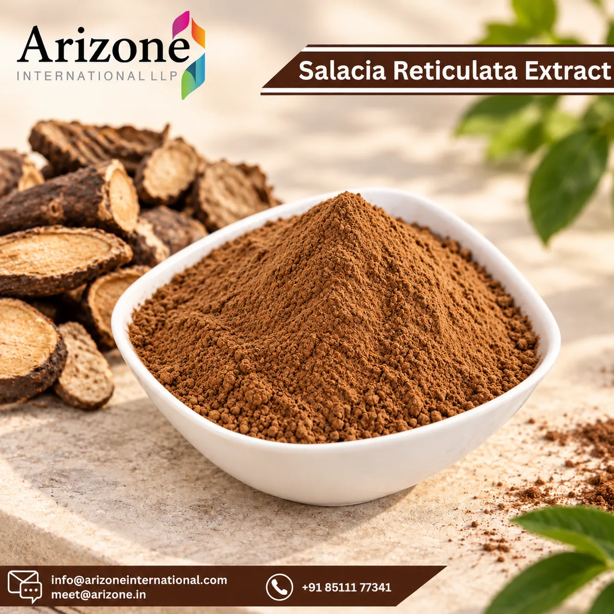 Salacia Reticulata Extract photo