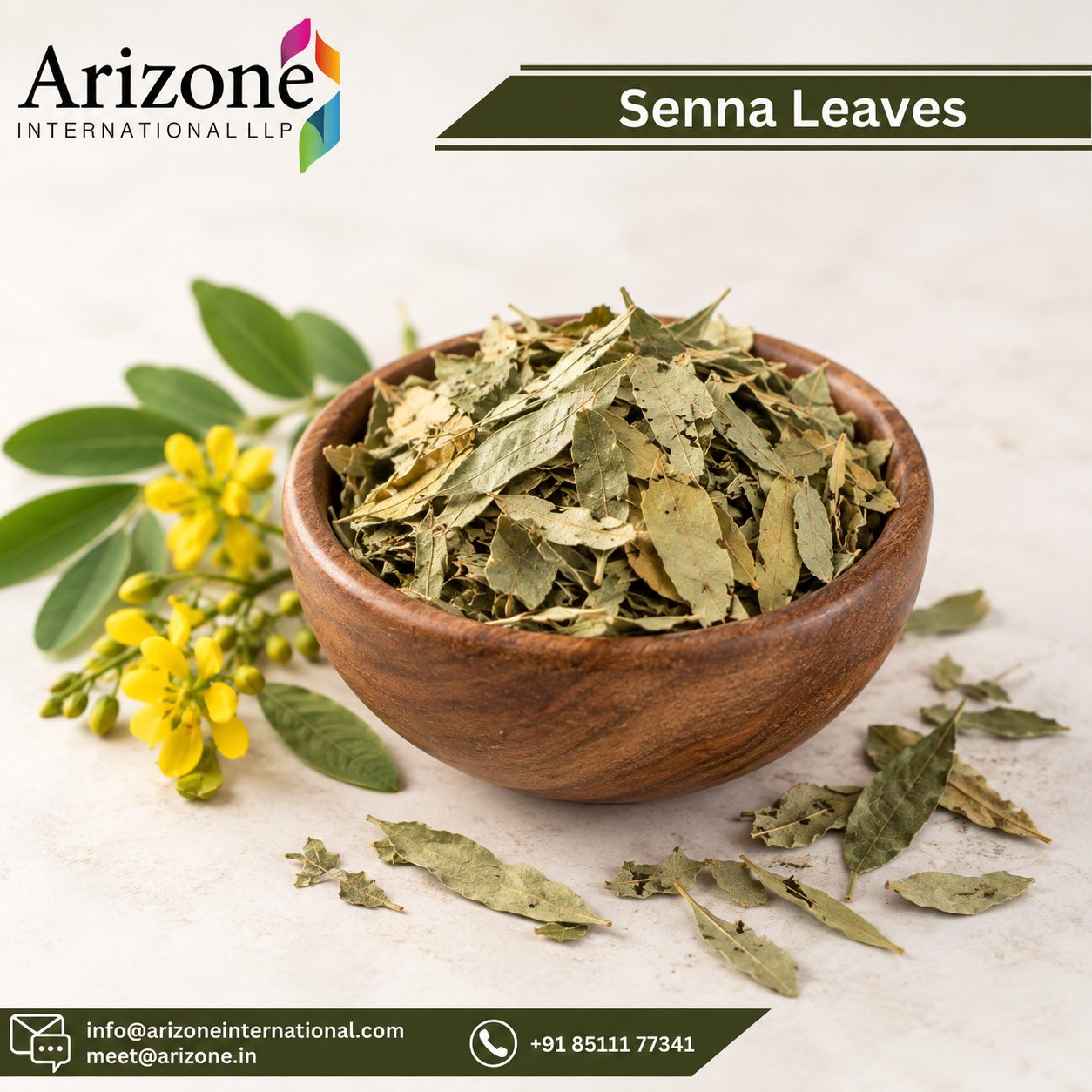 Senna Leaf Extract photo 2