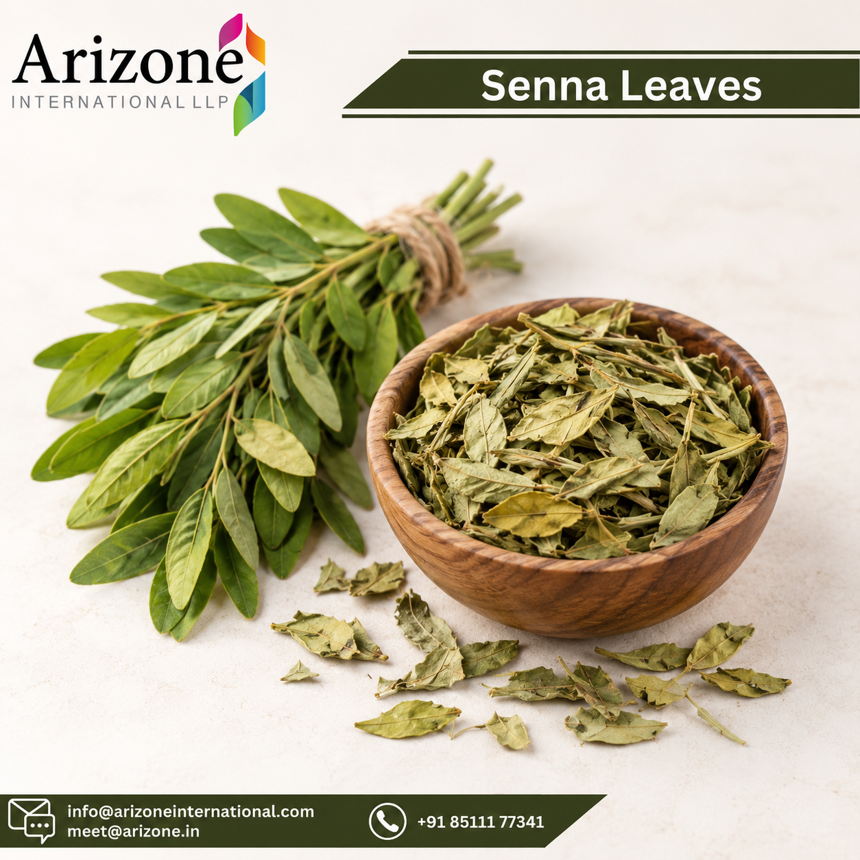 Senna Leaf Extract photo 3