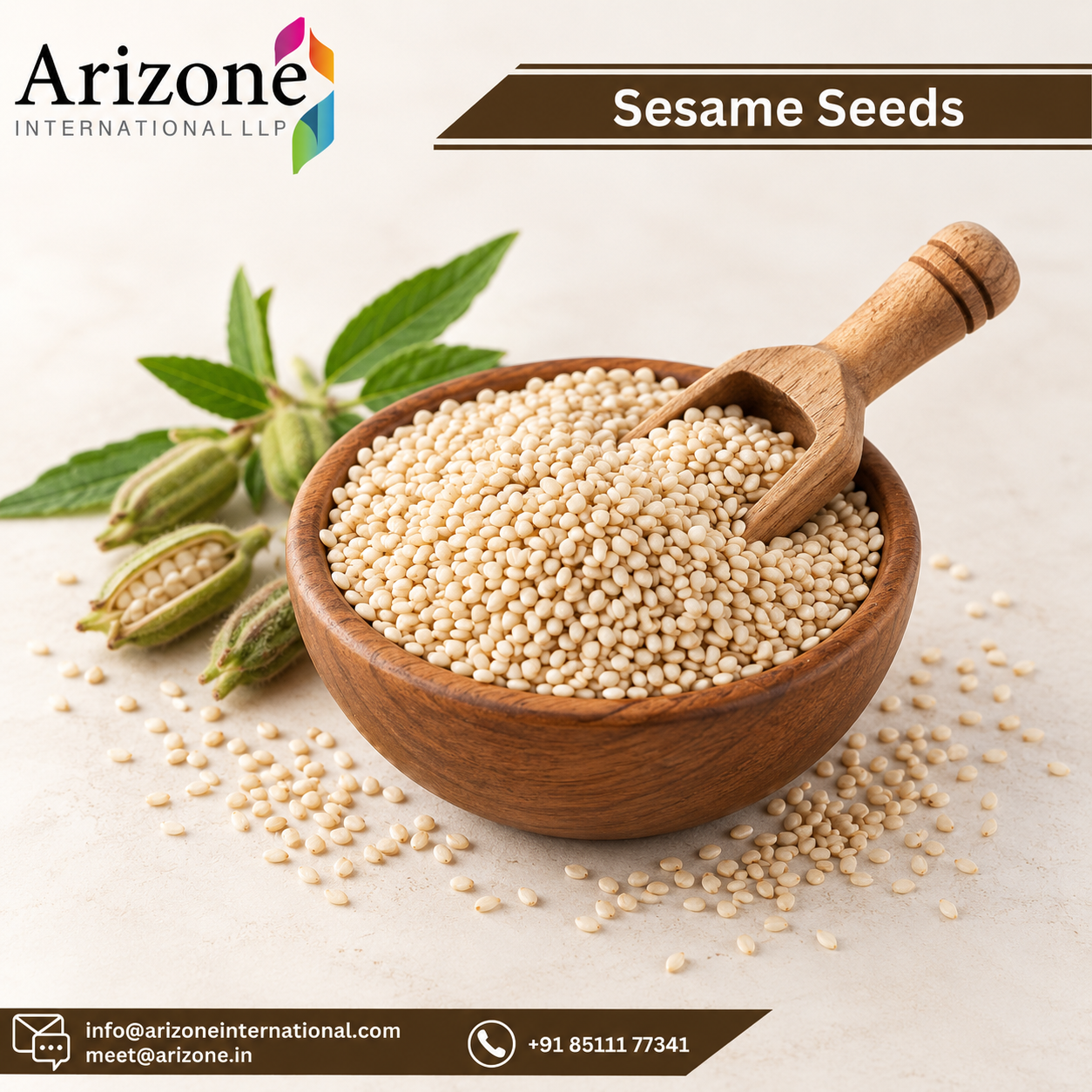 Sesame Seed