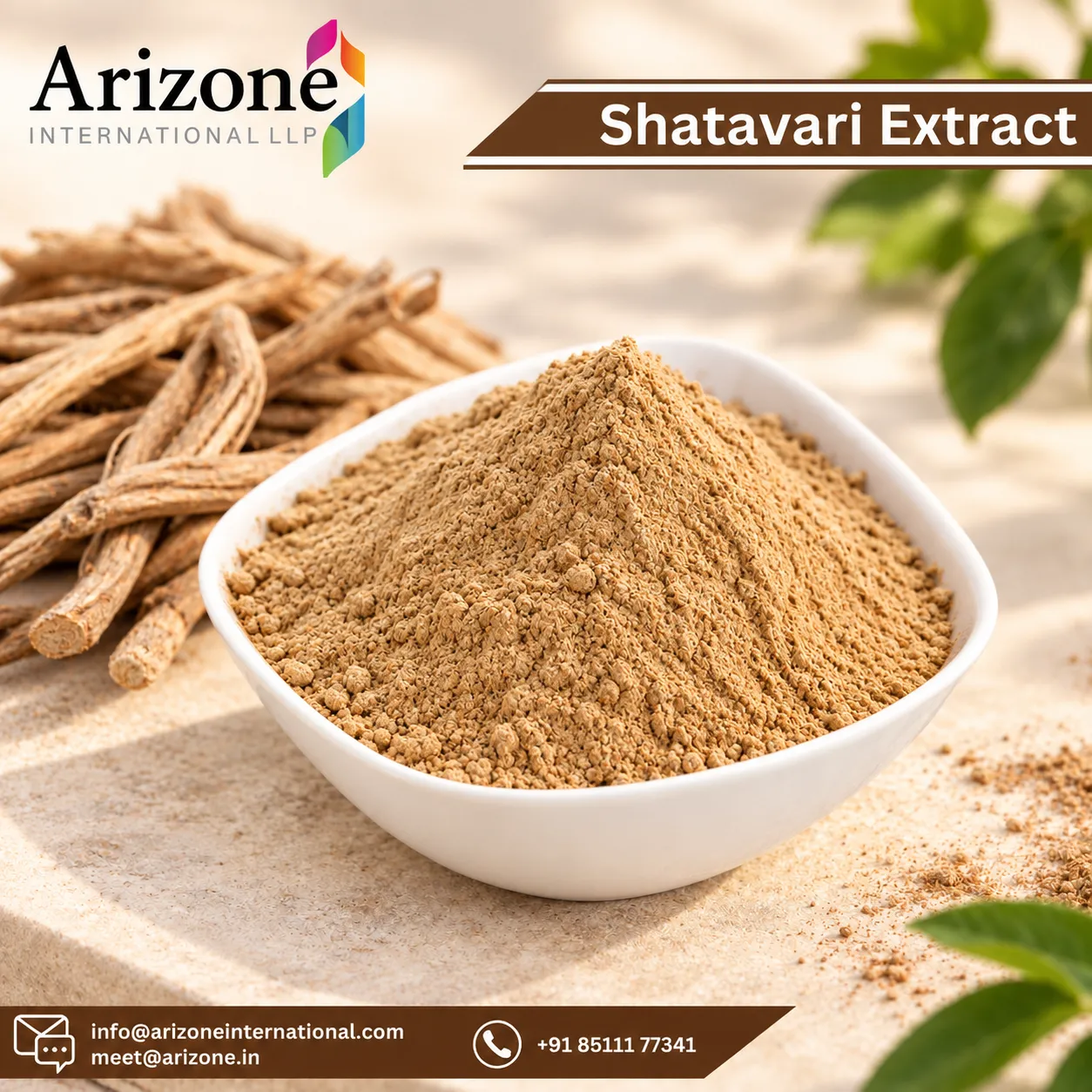 Shatavari Extract