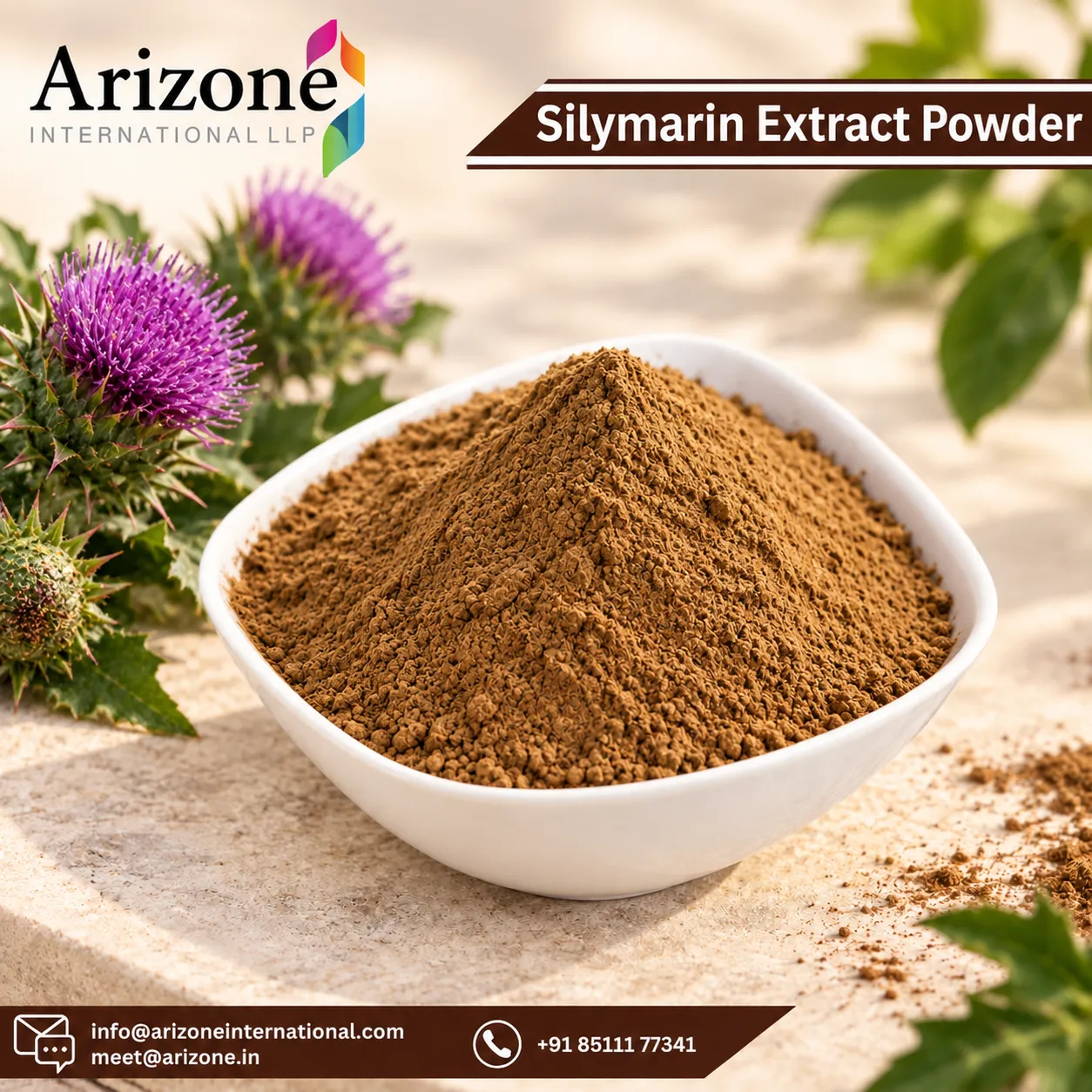 Silymarin Extract Powder photo