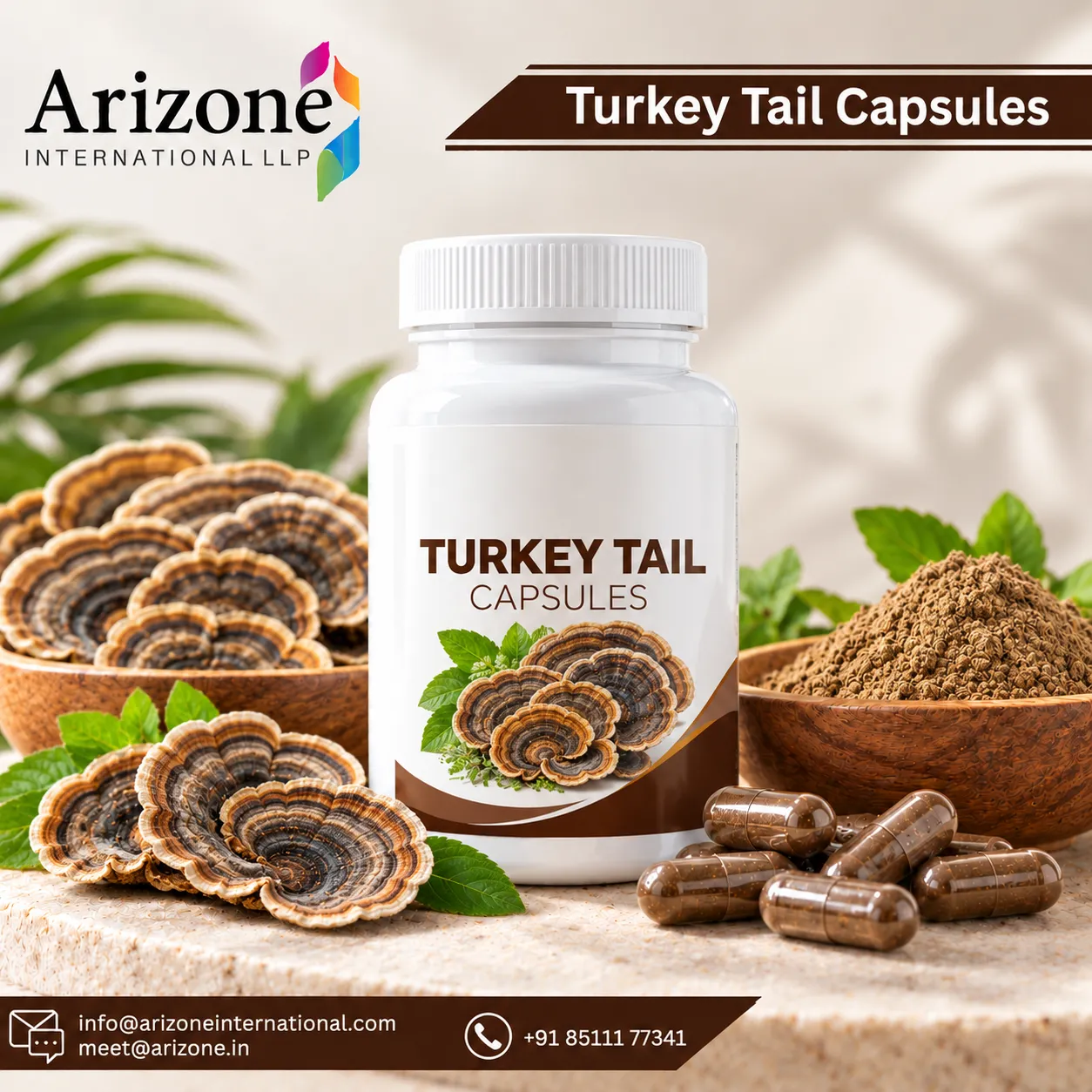 Turkey Tail Capsules