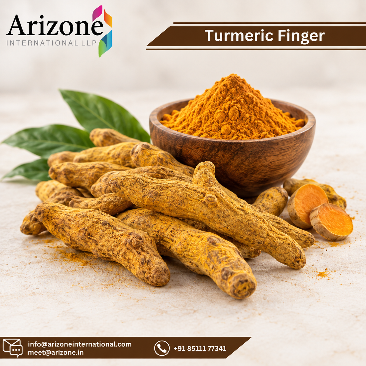 Turmeric Extract