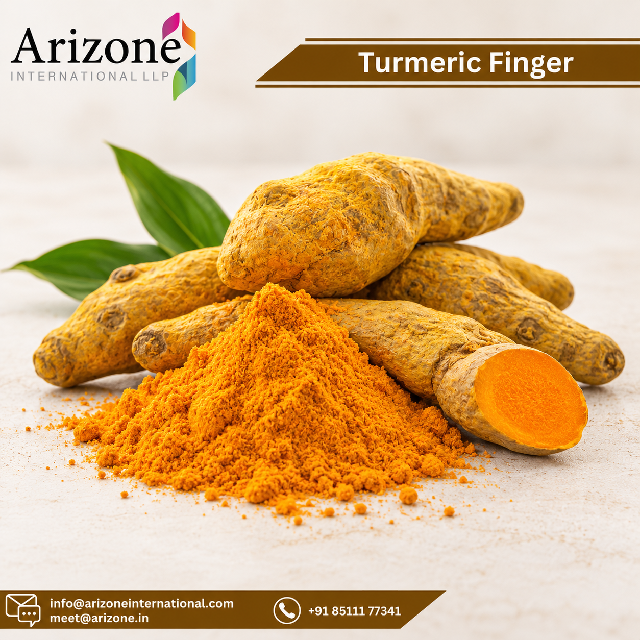 Turmeric Extract photo 3