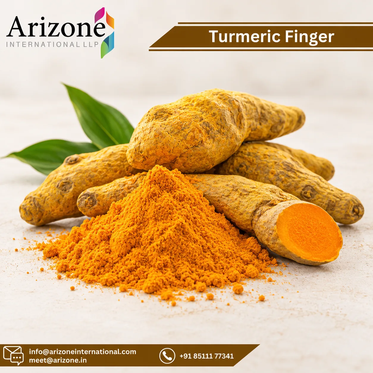 Turmeric Extract photo 3