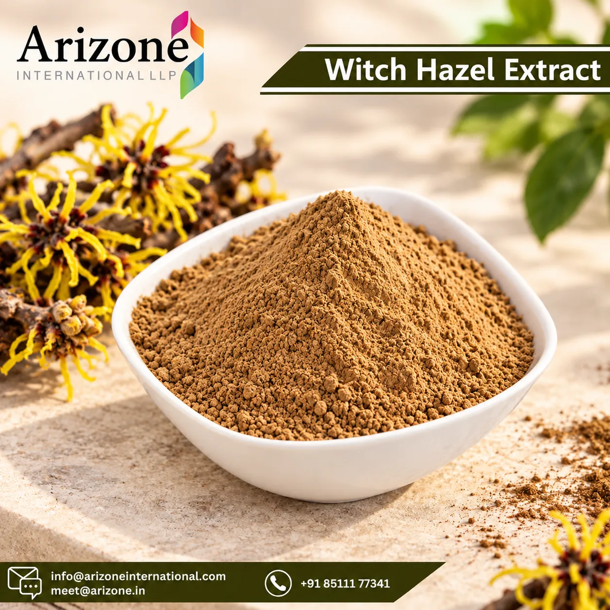 Witch Hazel Extract