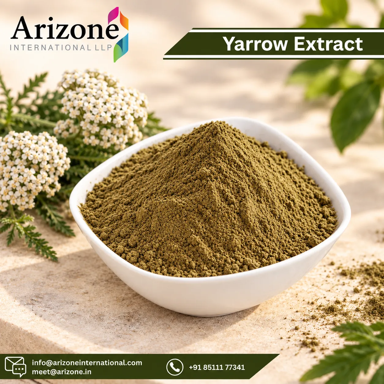 Yarrow Extract