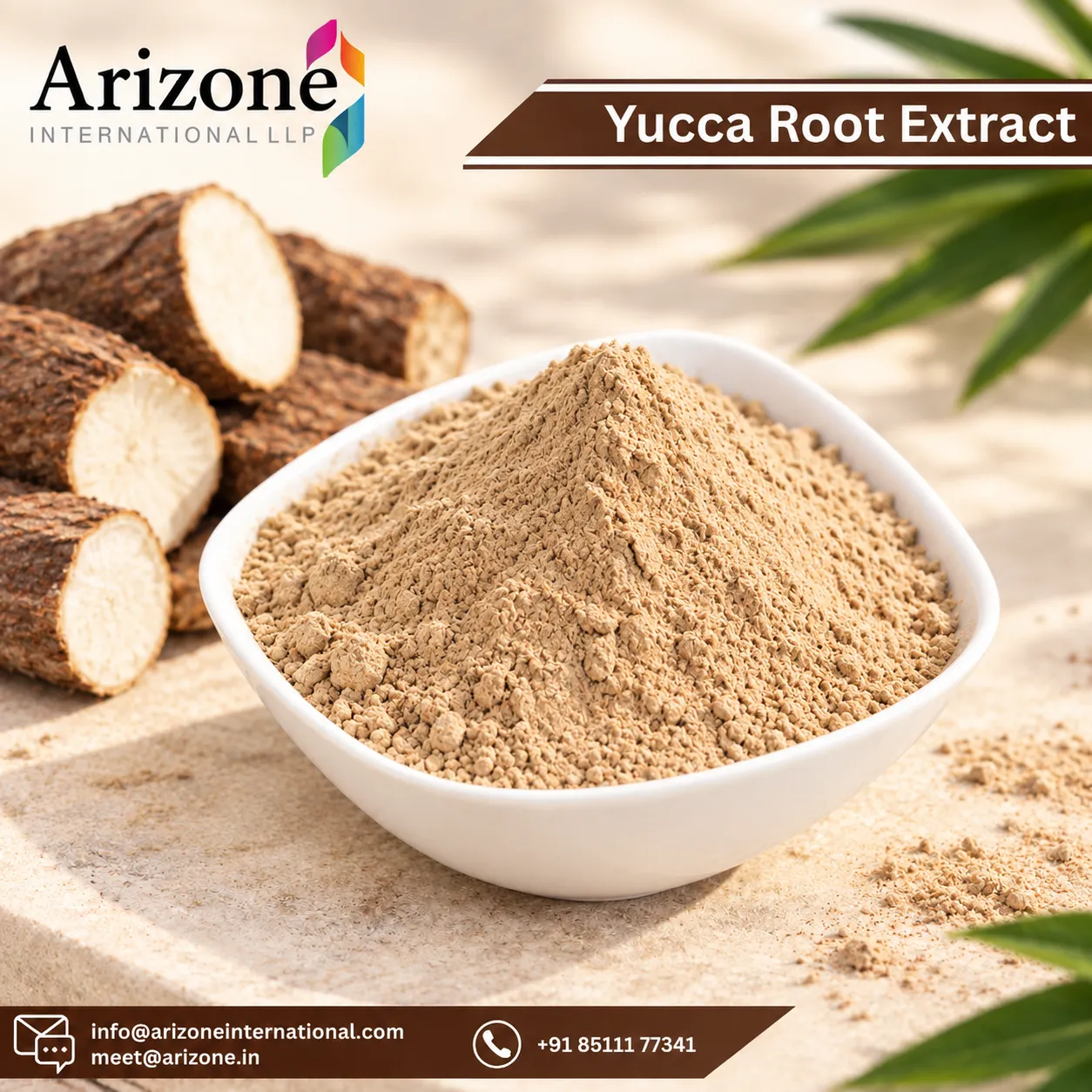 Yucca Root Extract