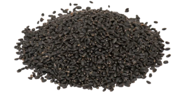 Basil Seeds Supplier and Exporter from India Arizone