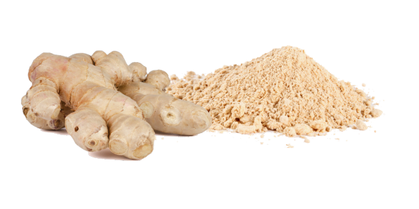 Ginger Powder Supplier, Manufacturer and Exporter in India
