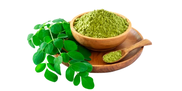 Moringa Herbs Supplier, Manufacturer and Exporter in India
