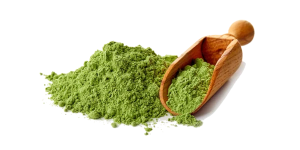Wheatgrass Powder Supplier, Manufacturer and Exporter in India