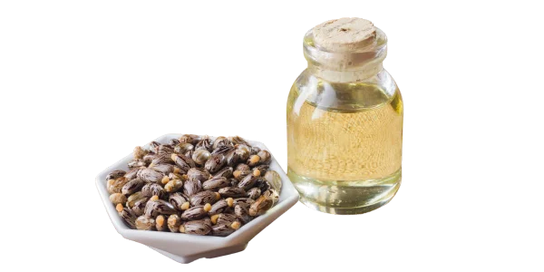 Babchi Seed Carrier Oil