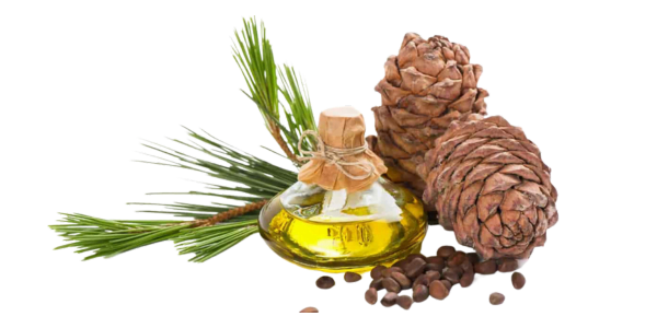 Cedarwood Oil (Himalayan) with bottle