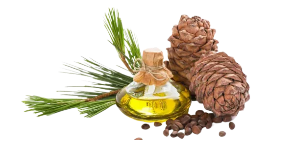 Cedarwood Oil (Himalayan) with bottle