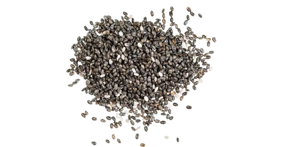 Basil Seeds Supplier, Manufacturer and Exporter in India