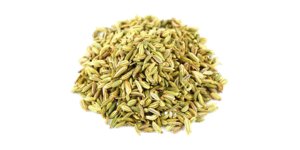 Fennel Seeds Supplier, Manufacturer and Exporter in India