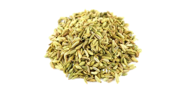 Fennel Seeds Supplier, Manufacturer and Exporter in India